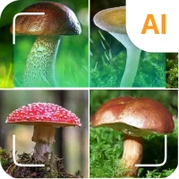 Mushroom identifier