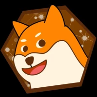 DOGE Fast Miner