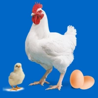 Easy Poultry & Chicken Manager