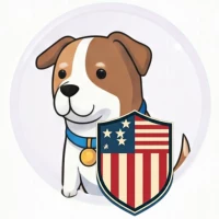 Fast VPN USA - Privacy & Video