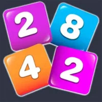 2248 Puzzle Number Blocks x2