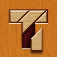 Wood T Puzzle