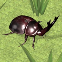 Bug Battle Simulator