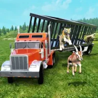 Wild Animals Chase &amp; Catch 3D