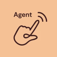 CSN KYC Agent